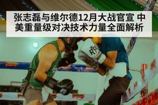 张志磊与维尔德12月大战官宣 中美重量级对决技术力量全面解析