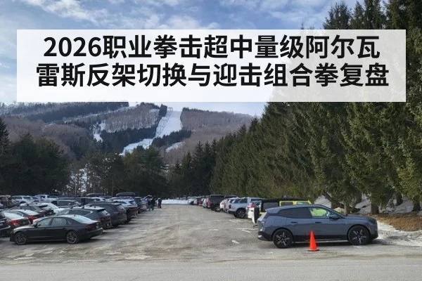 2026职业拳击超中量级阿尔瓦雷斯反架切换与迎击组合拳复盘