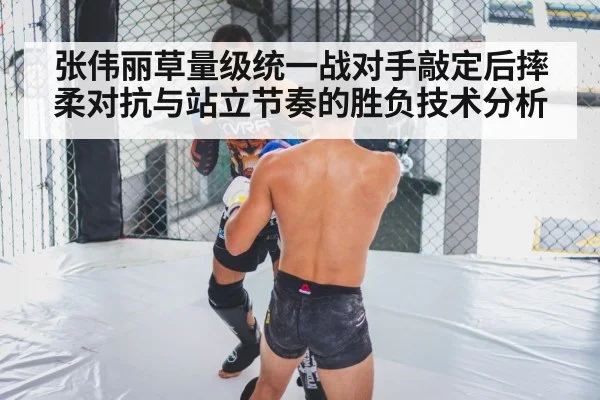 mma grappling cage fight